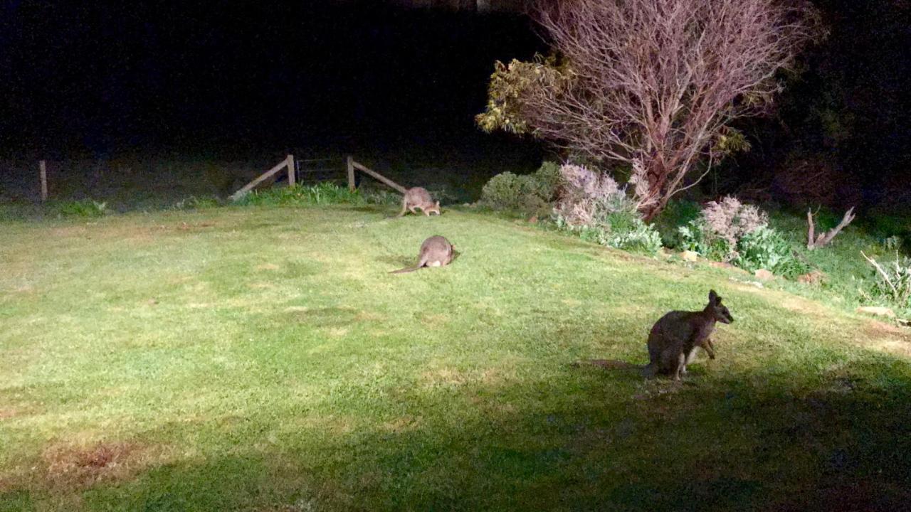 Bee'S Place - 3 Bedroom Home On 10 Acres Of Land With Distant Ocean Views Emu Bay Dış mekan fotoğraf